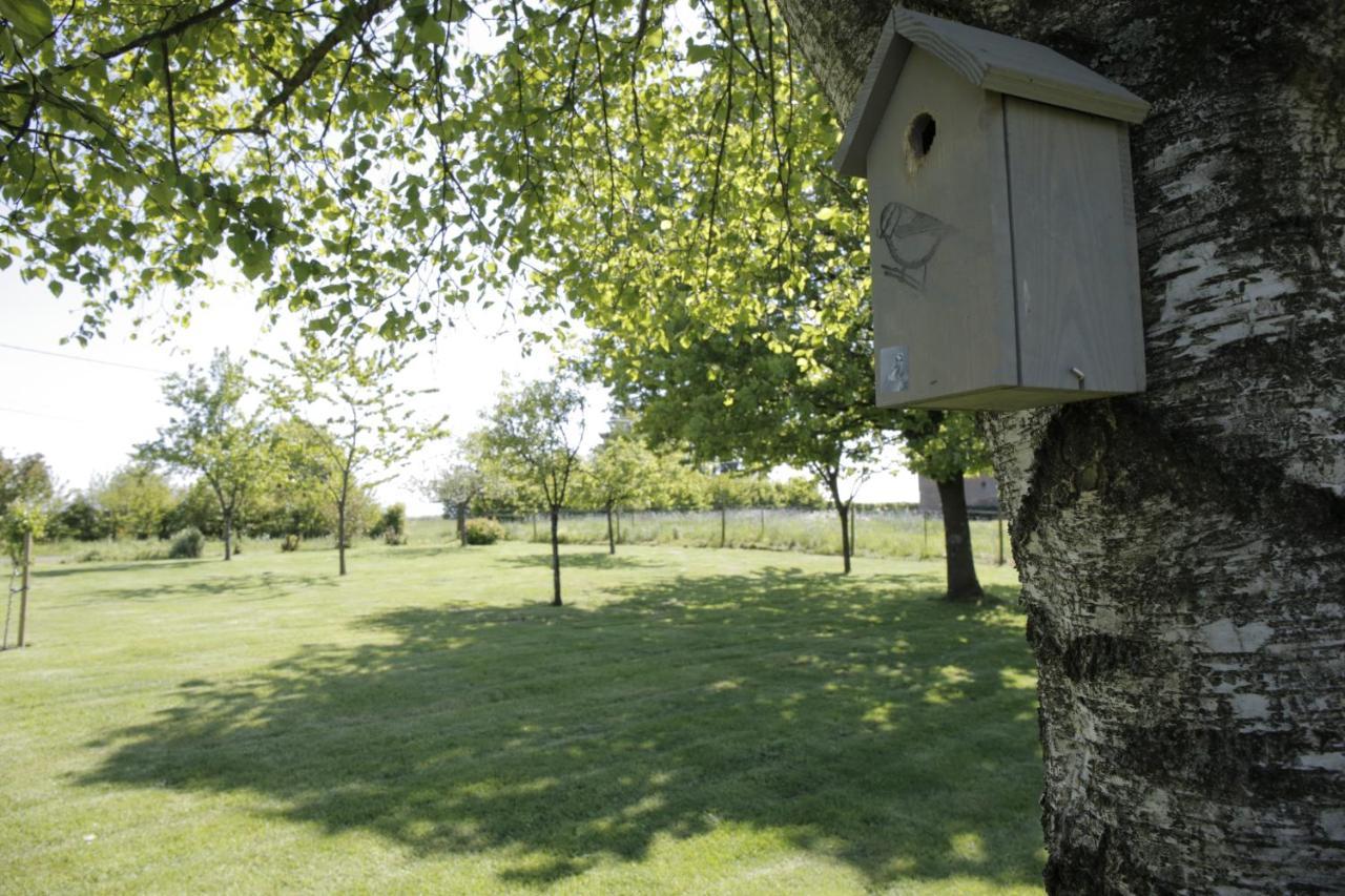 Vila La Croix Bala Signy-le-Petit Exteriér fotografie